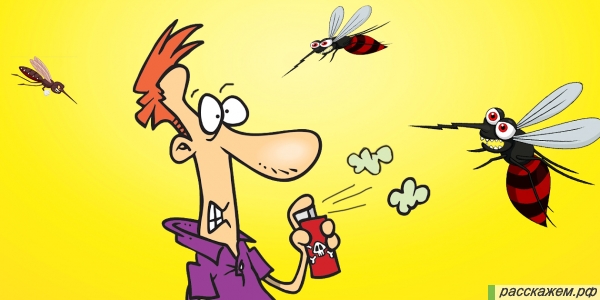 егерские способы защиты от комаров, способы защититься от комаров, как спастись от комаров природными способами