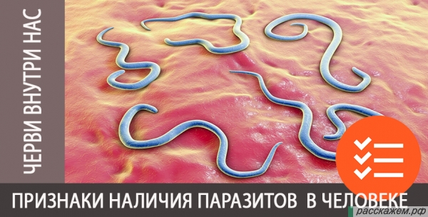 признаки присутствия паразитов в человеке, признаки глистов, если черви в человеке